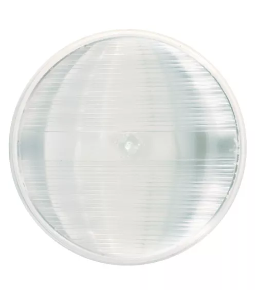 Grote Back-Up Light, 4", Single LED, Male Pin | 62091