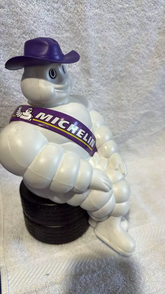 Guy Michelin for mirror
