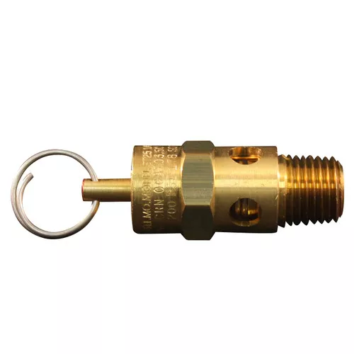 Milton 1090-200 ASME Saf. Valve 1/4"NPT 200 PSI