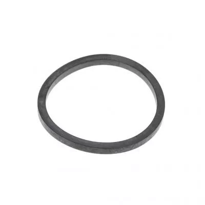 PAI 121285 Cummins Rectangular Ring Seal Replaces 3080769