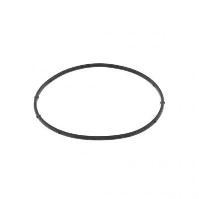 PAI 121347 Rectangular Sealing Ring Replaces 4985661