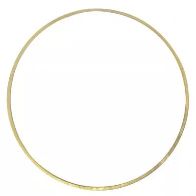 PAI 162003 Liner Shim Replaces 3054948