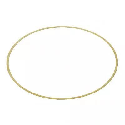 PAI 162011 Liner Shim Replaces 3034663