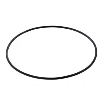 PAI 2939 O Ring Replaces Mack # 56AX542