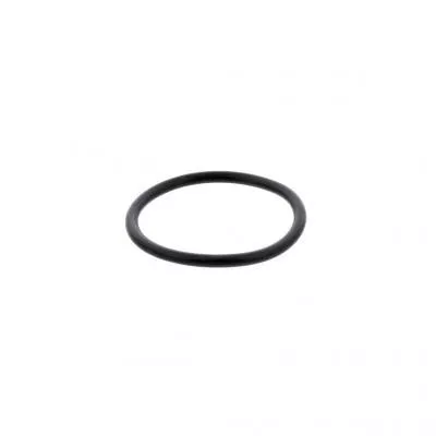 PAI 2951 O Ring Replaces Mack # 56AX513