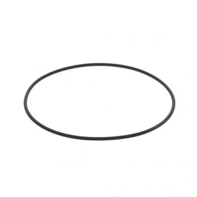 PAI 2959 Mack E7 Water Pump 0-Ring Replaces 446GC330