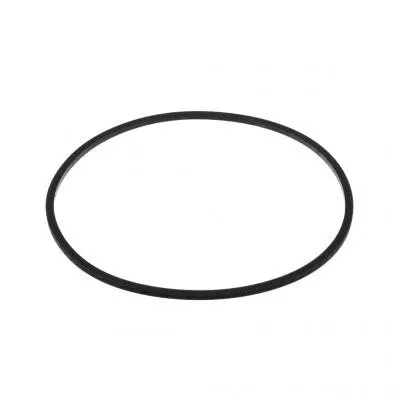 PAI 3002 O-Ring Replaces Mack # 56AX450