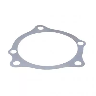 PAI 5996-003 Shim .003" T2090