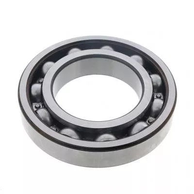 PAI 6594 Input Bearing Replaces Mack # 46AX516