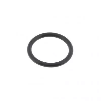 PAI Industries 121265 CUMMINS L10 M11 PLUG O-RING