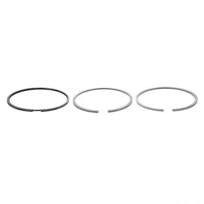 PAI Industries 305055 CAT 3126B PISTON RING SET