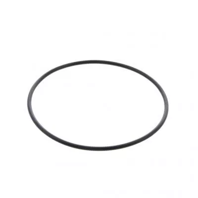 PAI Industries 321313 CAT DRIVE PUMP ORING 3406C15