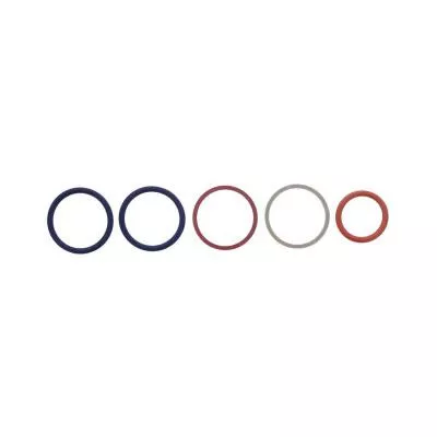 PAI Industries 321348 CAT C7 INJECTOR O-RING KIT