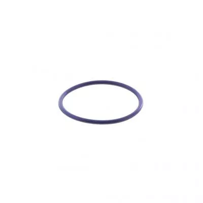 PAI Industries 321441 CAT 3126B C7 CYLINDER HEAD O-RING