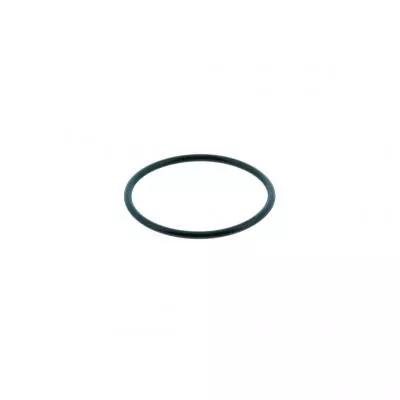 PAI Industries 321442 CAT C7 INJECTOR TUBE O-RING