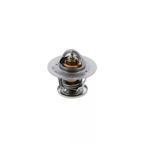 PAI Industries 381859 CAT C9 THMEROSTAT