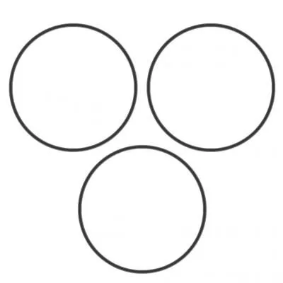 PAI Industries 421200 IH DT466 PISTON O-RING KIT