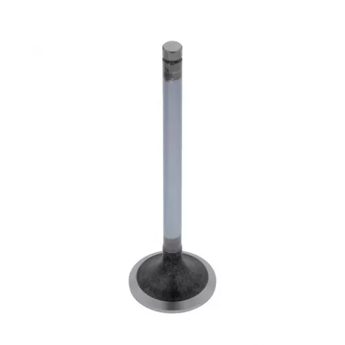 PAI Industries 491009 VALVE INTAKE