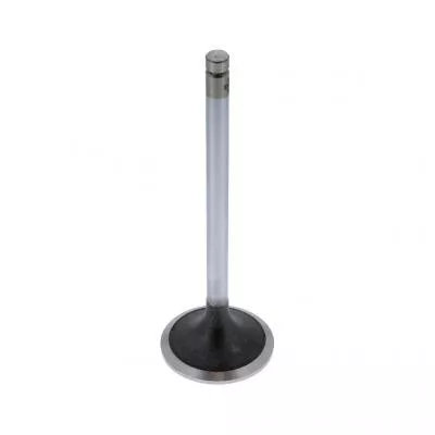 PAI Industries 491011 NAVISTAR DT466E INTAKE VALVE