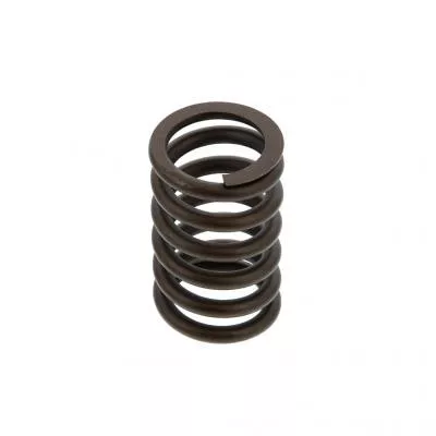 PAI Industries 491030 IH DT466E INTAKE VALVESPRING