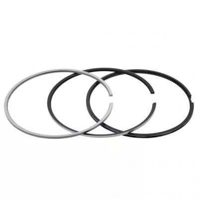 PAI Industries 505060 CUMMINS L10 PISTON RING SET