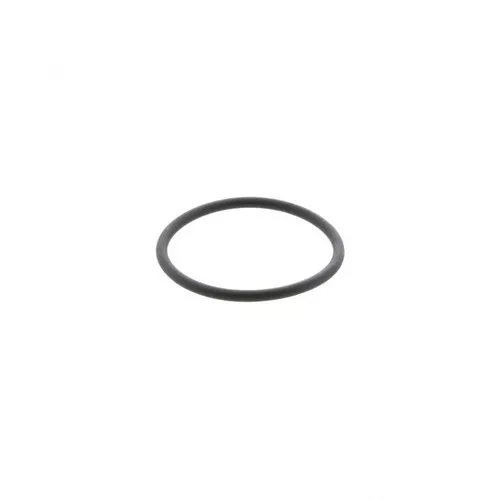 PAI Industries 621248 DETROIT FREIGHTLINER O-RING