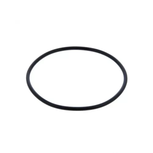 PAI Industries 621259 FREIGHTLINER DETROIT O RING