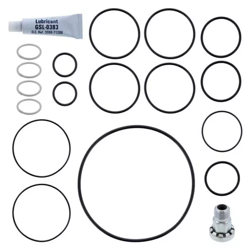 PAI Industries 6562-200 MACK TRANSMISSION RANGE O RING KIT