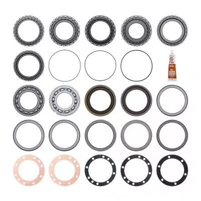 PAI Industries 7119 CRDP200 BEARING / SEAL KIT