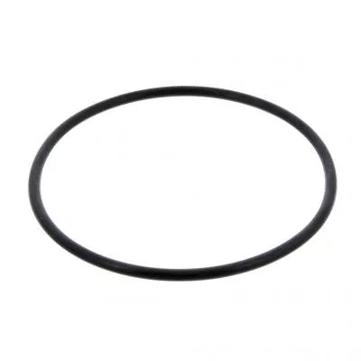 PAI Industries 8913 MACK LOWER O-RING