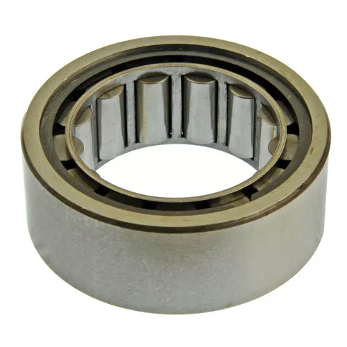 R1581TV Pinion Nose Bearing