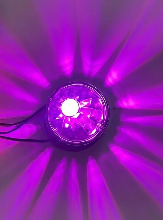 WATERMELON GLASS LIGHTS LED AMS PURPURE SINGLE COLOR