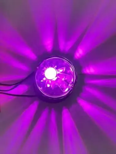 WATERMELON LIGHTS LED AMS PURPLE SINGLE COLOR